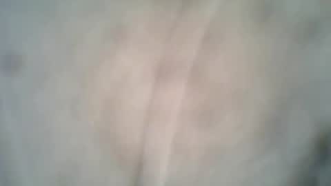 Snapshot of archkeinzas chatting on 10-08-25, 06:38 olo online show from 10-08-25, 06:38