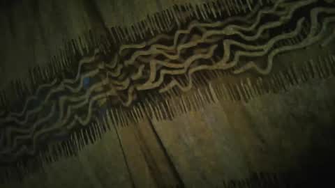 Snapshot of archkeinzas chatting on 11-24-25, 04:34 olo online show from 11-24-25, 04:34