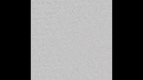 Ari online show from 03-25-26, 11:38