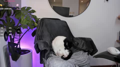 Snapshot of ariana_fitl chatting on 01-28-25, 03:47 DaniAri - dimension X at night NY time online show from 01-28-25, 03:47