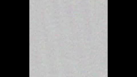 Arianna Collins online show from 10-04-25, 11:19