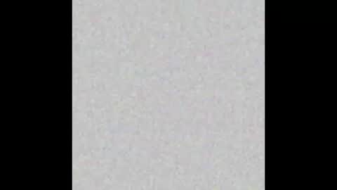 Arianna Collins online show from 10-14-25, 11:44