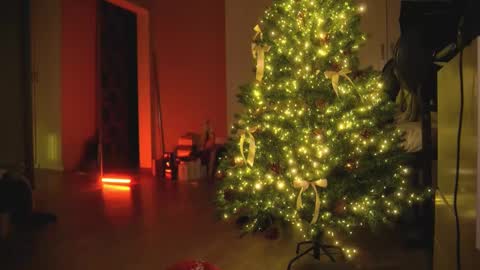 Olivka online show from 12-30-24, 05:48