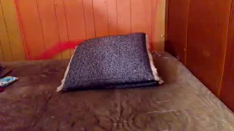 ariellejade06 online show from 02-19-26, 06:26