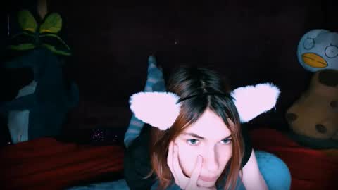 Snapshot of arielpinkcat chatting on 11-23-25, 01:38 arielpinkcat online show from 11-23-25, 01:38