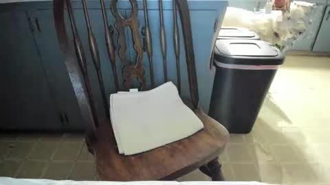 Snapshot of armalite16 chatting on 11-13-25, 06:23 armalite16 online show from 11-13-25, 06:23