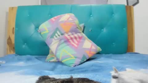 armanidark online show from 09-15-25, 02:11