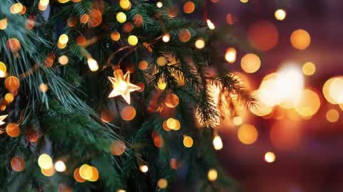 natra online show from 12-23-24, 06:16