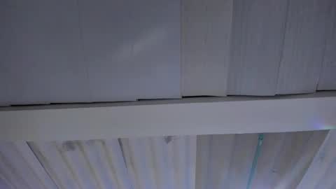 FENIX online show from 11-20-25, 02:45