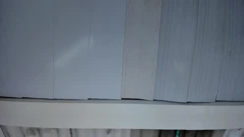 FENIX online show from 11-25-25, 03:06