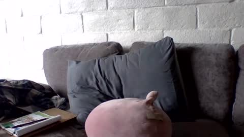 asexy82 online show from 07-14-26, 07:30