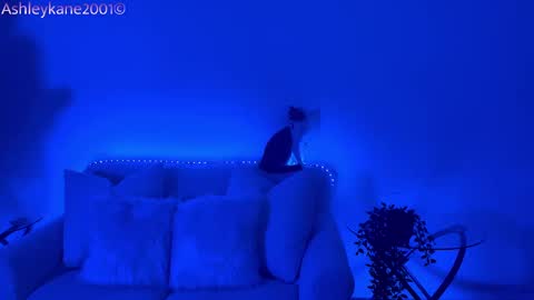 Ashley online show from 01-20-25, 04:54