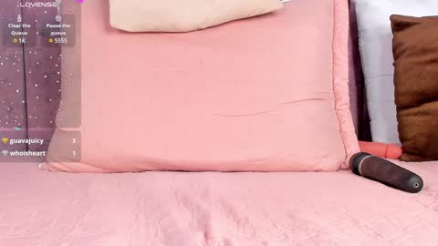 Ashlie online show from 01-23-25, 05:42