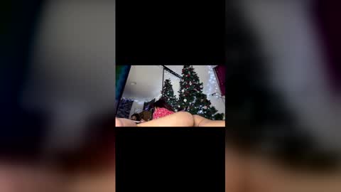 asian_babeee online show from 12-02-25, 01:00