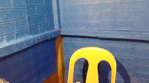 asian_decy online show from 02-20-26, 02:30