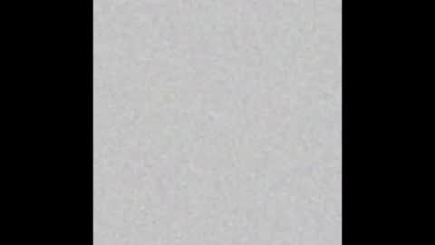 asianforw03 online show from 01-31-25, 06:14