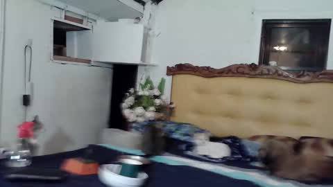 asianladyboy888 online show from 02-22-26, 04:05