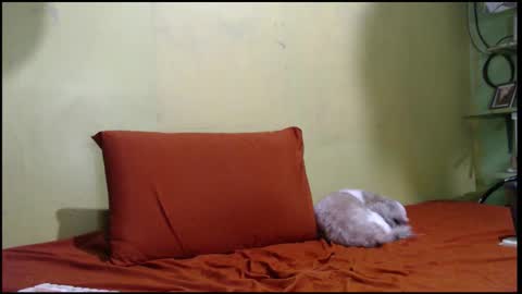 Mhay online show from 09-26-25, 05:55