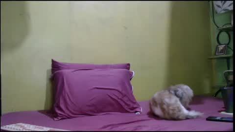 Snapshot of asianmhay24 chatting on 08-01-26, 05:07 Mhay online show from 08-01-26, 05:07