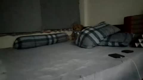 asianthai online show from 09-21-25, 09:27