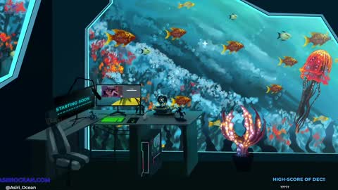 Asiri   pronounced Ah-siri Please no nicknames   3 online show from 12-05-24, 03:37