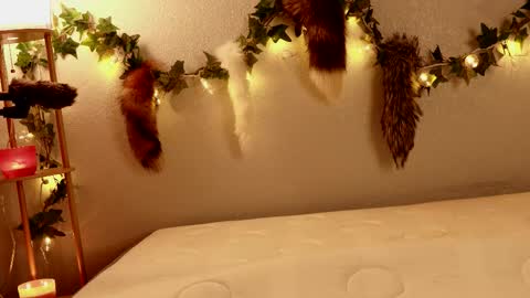 Aspie Land online show from 02-20-26, 02:19