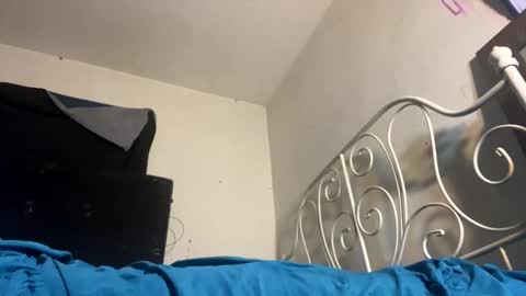 danni travis online show from 02-08-25, 09:13