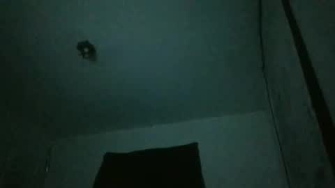 danni travis online show from 02-23-25, 07:44