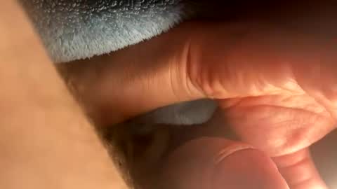 Snapshot of asterwix chatting on 09-21-25, 01:46 asterwix online show from 09-21-25, 01:46