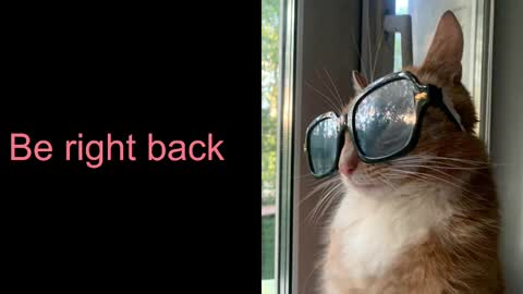 Astra  online show from 02-17-25, 10:40