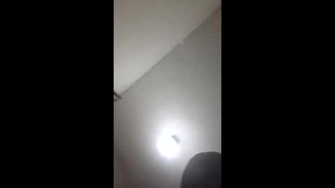 Perroamarillo online show from 04-13-26, 09:15