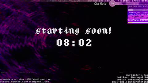 Snapshot of auragotchi chatting on 02-17-25, 04:20 Aurora Aura online show from 02-17-25, 04:20