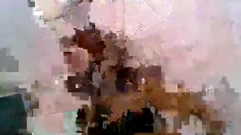 aurelia107 online show from 05-31-26, 03:08
