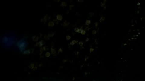 Snapshot of axell_cross2 chatting on 07-09-26, 04:38 Axell Cross2 online show from 07-09-26, 04:38