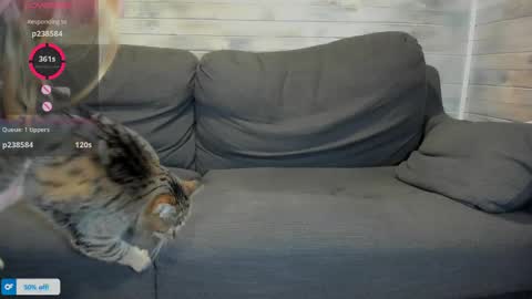 Maribel Bel online show from 04-16-26, 01:23