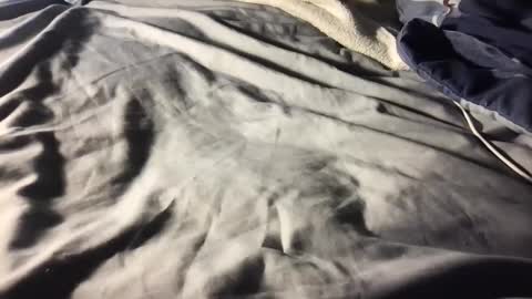 b0rk3r online show from 12-11-24, 05:53