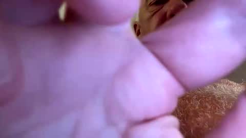 Snapshot of b_benito chatting on 09-28-25, 07:52 benito online show from 09-28-25, 07:52