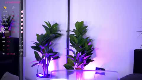 Snapshot of babbyaisha chatting on 12-16-25, 04:28 Inna online show from 12-16-25, 04:28