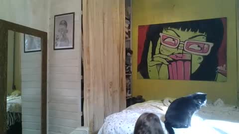 Snapshot of babydemon6 chatting on 05-24-26, 01:38 babydemon6 online show from 05-24-26, 01:38