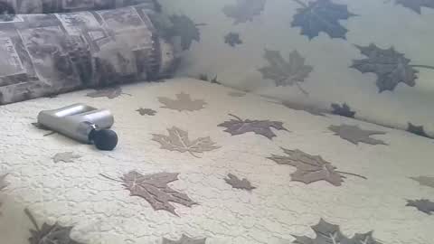 babymom1 online show from 03-09-25, 02:21