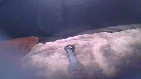 bacchusexx15 online show from 04-17-26, 04:43