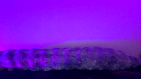 baddiejess618433 online show from 12-18-24, 05:26