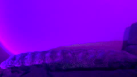 baddiejess618433 online show from 12-30-24, 05:26