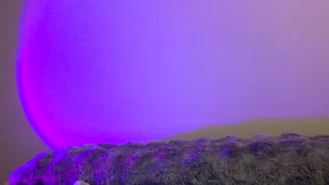 baddiejess618433 online show from 12-31-24, 04:06