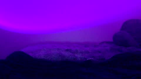 baddiejess618433 online show from 01-05-25, 06:02