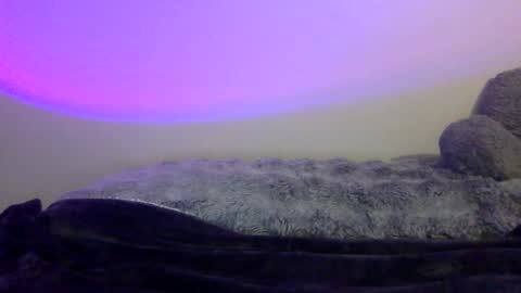 baddiejess618433 online show from 01-05-25, 08:10