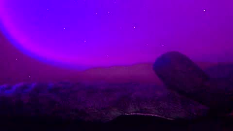 baddiejess618433 online show from 01-11-25, 03:44