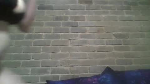 Chaterlain online show from 02-13-25, 10:23