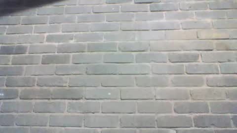 Snapshot of baielekker81578 chatting on 06-09-26, 09:43 Chaterlain online show from 06-09-26, 09:43