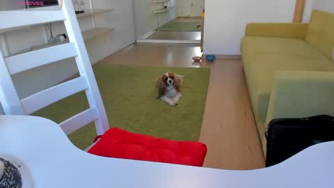 Snapshot of bam_bi chatting on 03-20-26, 12:21 Kira online show from 03-20-26, 12:21